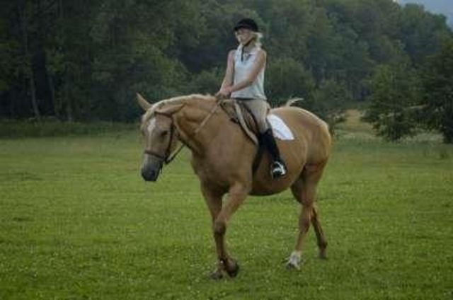 Horse_Lady-_2big