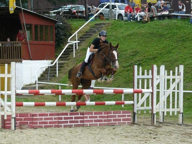 Horse_Jas-_3big