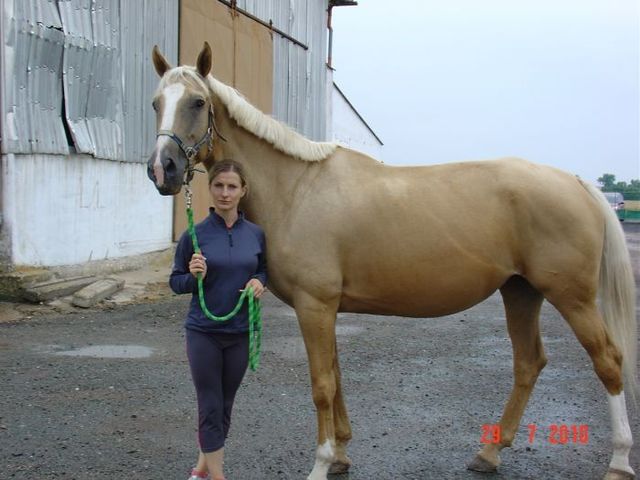 Horse_Melodie-_2big