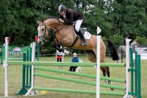 horse_glory-big--1-.jpg