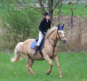 horse_aneta-_2big.jpg