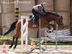 horse_britany-_3big.jpg