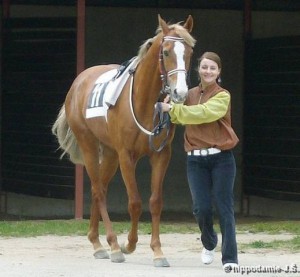 horse_heretic-big.jpg