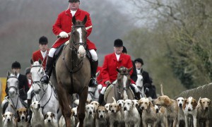 fox-hunting-010.jpg